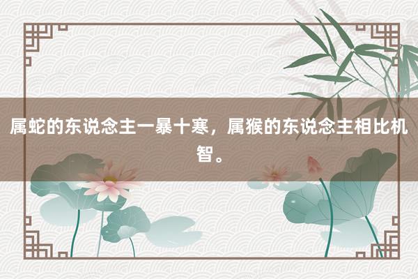 属蛇的东说念主一暴十寒，属猴的东说念主相比机智。